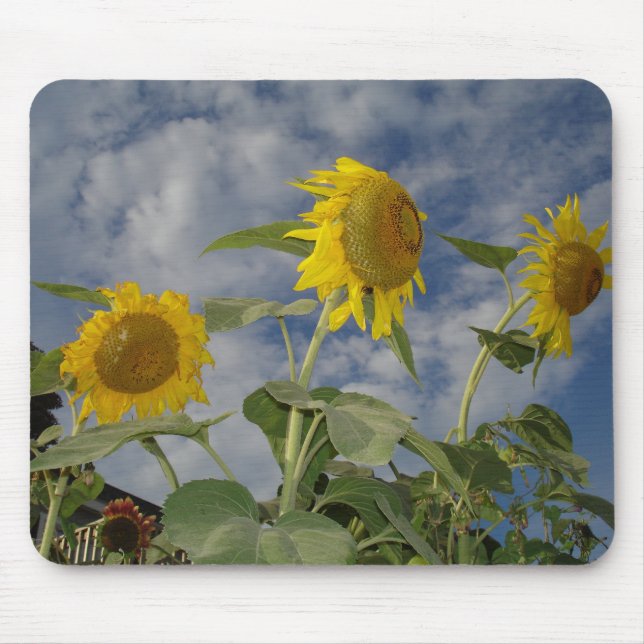 Sunflower Trio Mouse Mat (Front)