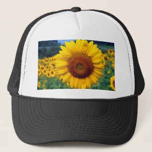 Sunflower Trucker Hat