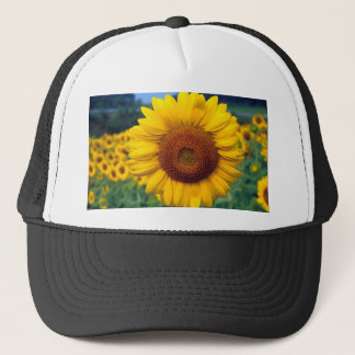 Sunflower Trucker Hat