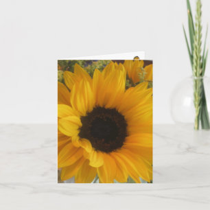 Sunflower Tune Notecard