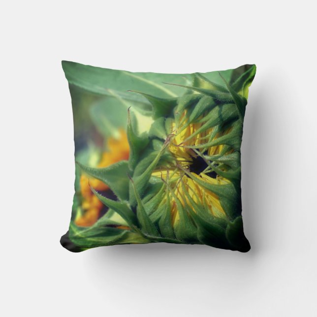 Sunflower Unfolding   Cushion (Front)
