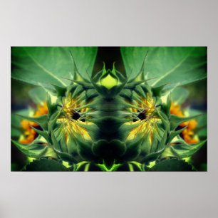 Sunflower Unfolding Mirror Abstract Poster