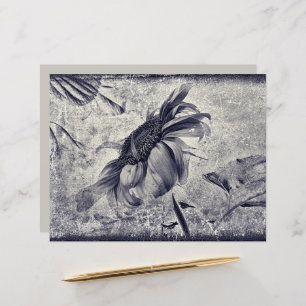 Sunflower Vintage Black And White Antique Texture