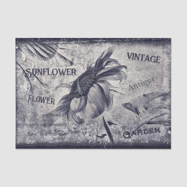 Sunflower Vintage Black And White Ephemera Texture Tissue Paper | Zazzle
