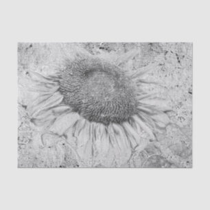 Sunflower Vintage Black White Distressed Texture Tissue Paper