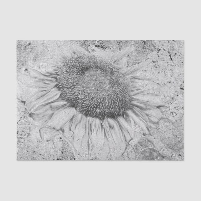 Sunflower Vintage Black White Distressed Texture Tissue Paper (Front)