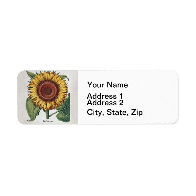 Sunflower Vintage Damask Flower Art (Front)