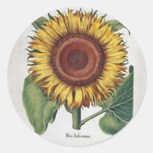Sunflower Vintage Damask Flower Art Classic Round Sticker