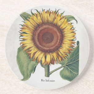 Sunflower Vintage Damask Flower Art Coaster