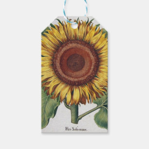 Sunflower Vintage Damask Flower Art Gift Tags
