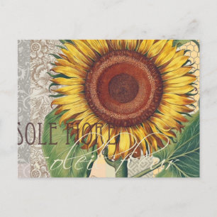 Sunflower Vintage Damask Flower Art Postcard