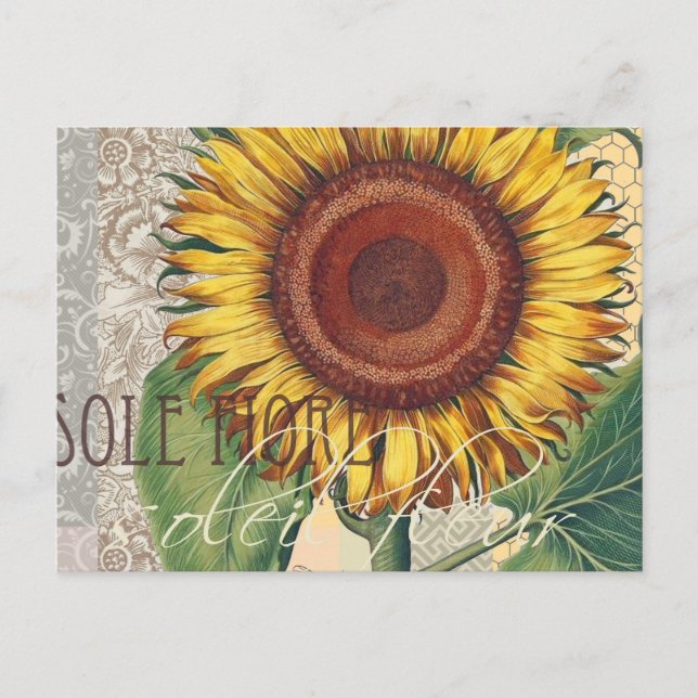 Sunflower Vintage Damask Flower Art Postcard (Front)