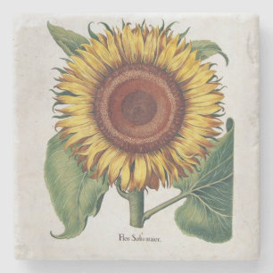 Sunflower Vintage Damask Flower Art Stone Coaster