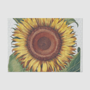 Sunflower Vintage Damask Flower Art Tissue Paper