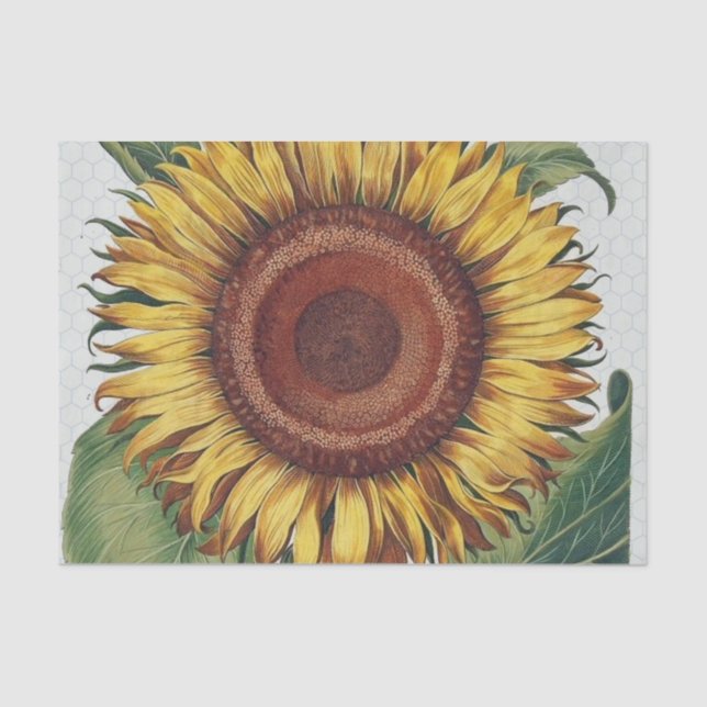 Sunflower Vintage Damask Flower Art Tissue Paper (Front)