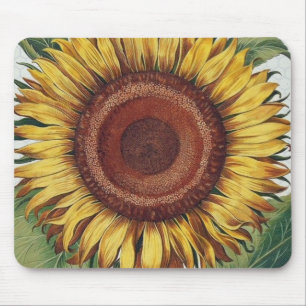 Sunflower Vintage Damask Flower Illustration Art Mouse Mat