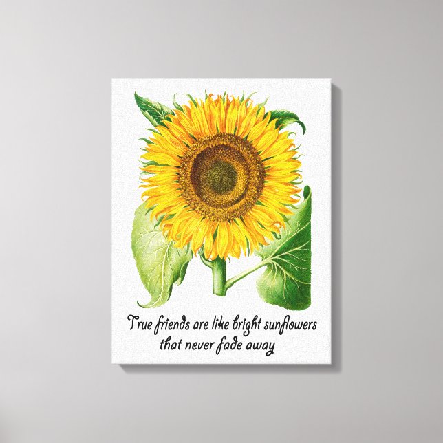 Sunflower Wall Art Canvas Print Flower Friend Gift (Front)