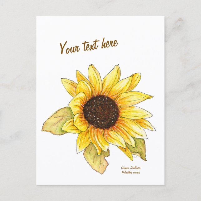 Sunflower watercolor customizable postcard (Front)