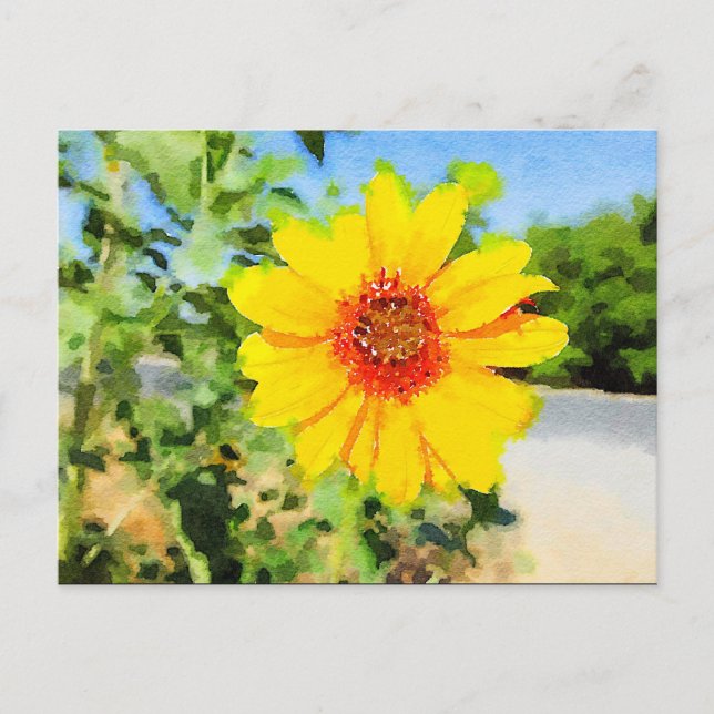 Sunflower Watercolor Postcard (Front)