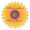Sunflower Wedding Save The Date Announcement