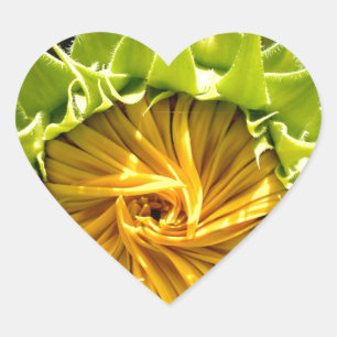 Sunflower Whirl Heart Sticker