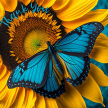 Sunflower with Aqua Blue Butterfly