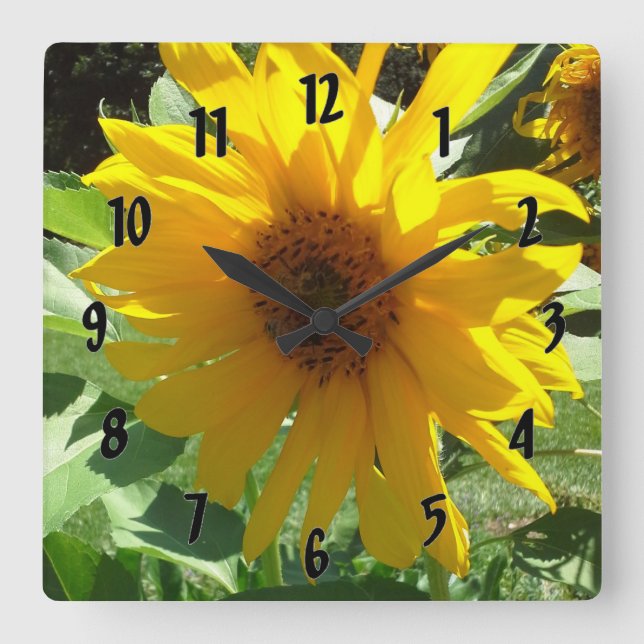 Sunflower with Bees Square Wall Clock (Front)