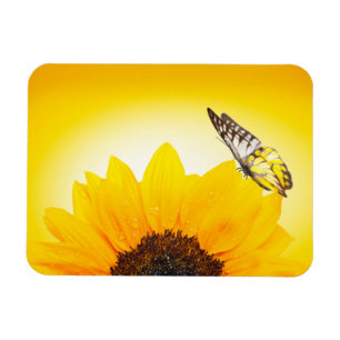 Sunflower with butterfly Flexible Magnet