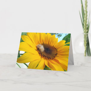 Sunflower with Feather Greeting Card