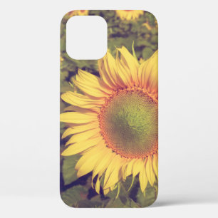 Sunflower with filter effect retro vintage styleag iPhone 12 case