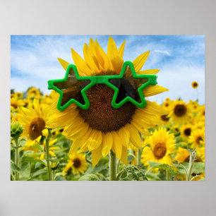 Sunflower With Star Sunglasses Poster