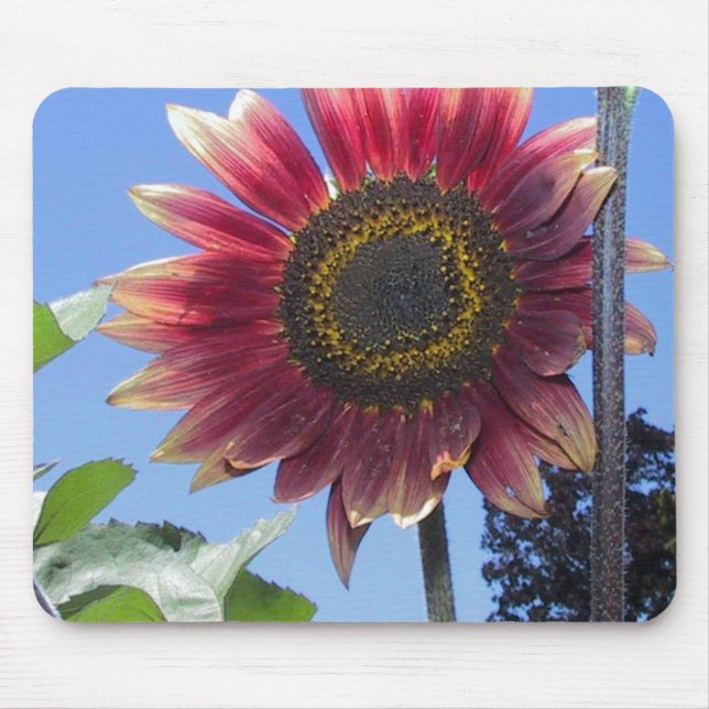 Sunflower with Unique Red Leaves Mouse Mat (Front)