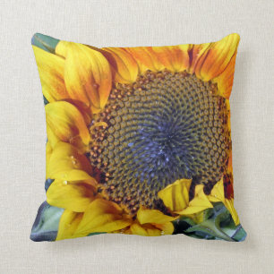 Sunflower with Water Droplets Cushion
