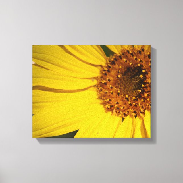 Sunflower  Wrapped Canvas (Front)