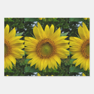 Sunflower Wrapping Paper Sheet