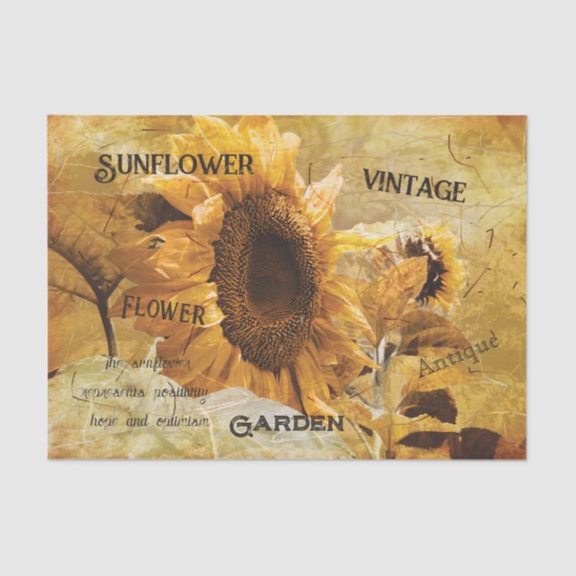 Sunflower Yellow Beautiful Country Ephemera Script Tissue Paper (Front)