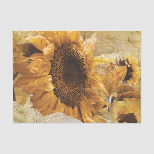 Sunflower Yellow Beautiful Country Floral Design Tissue Paper (Front)