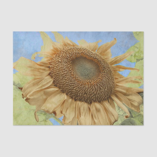 Sunflower Yellow Blue Boho Rustic Country Floral Tissue Paper (Front)