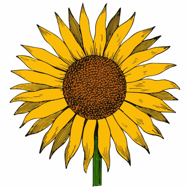 Sunflower Yellow Flower Standing Photo Sculpture (Front)