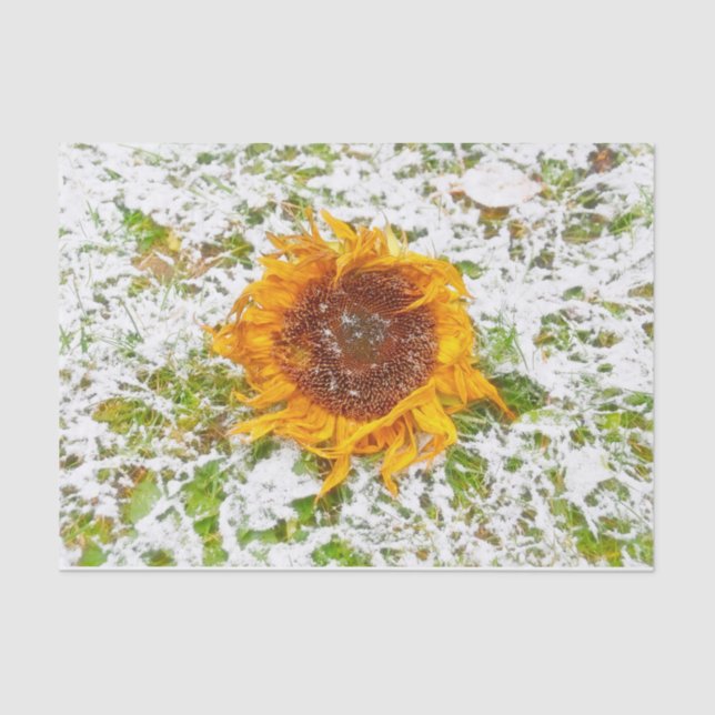 Sunflower Yellow In Winter Snow Decoupage Tissue Paper (Front)
