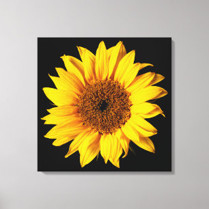 Sunflower Yellow on Black - Customised Sun Flowers Canvas Print