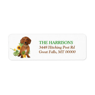 Sunflower Yellow Red Dachshund Return Address