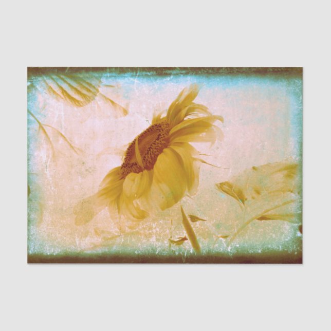 Sunflower Yellow Sepia Vintage Antique Texture Tissue Paper (Front)