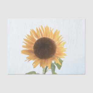 Sunflower Yellow Single Rustic Sketch Art Tissue Paper