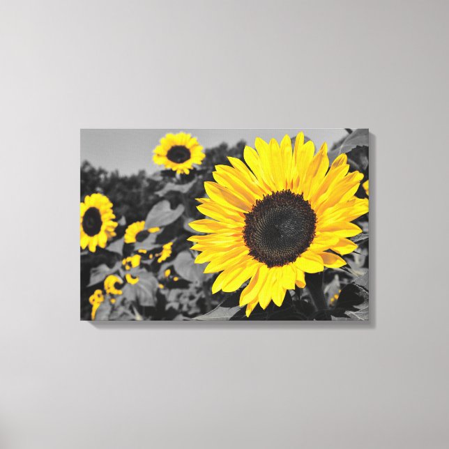 Sunflower: Yellow Splash Of Colour Canvas Print (Front)