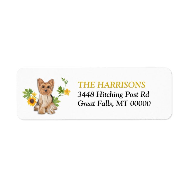 Sunflower Yellow Yorkshire Terrier (Front)