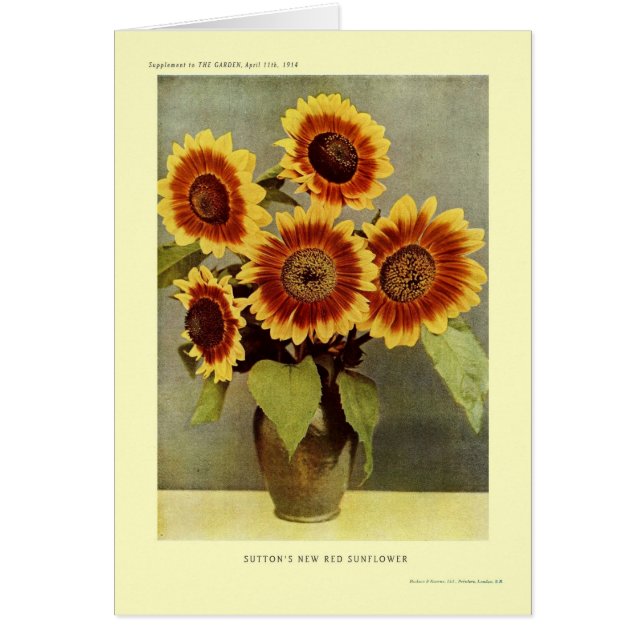 Sunflowers (Front)