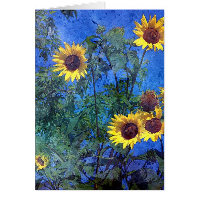 Sunflowers (Front)