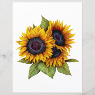 Sunflowers