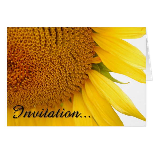 Sunflowers (Front Horizontal)